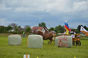3. Srečanje kočij in konjenikov na Grabah 7
